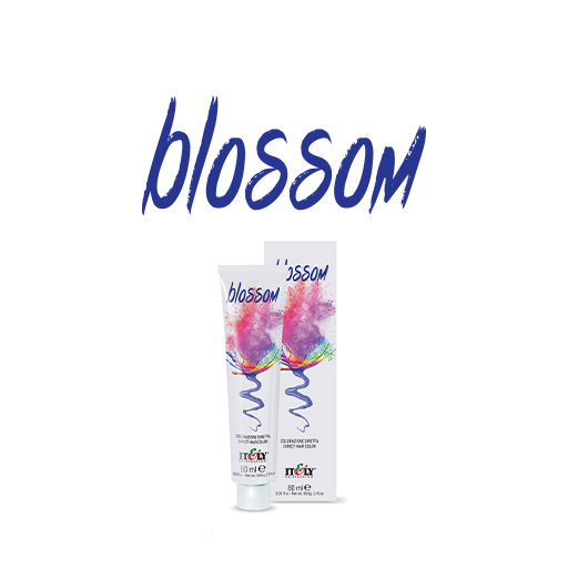 Blossom logo